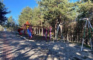 Başçiftlik'te bahar temizliği çalışması...