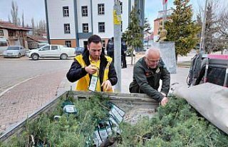 Başçiftlik'te öğrencilere fidan dağıtımı...
