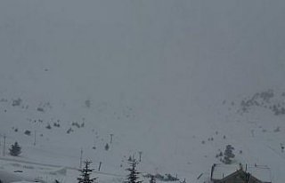 Bolu'nun yüksek kesimlerinde kar yağışı...