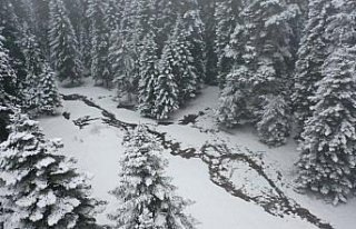 Bolu'nun yüksek kesimlerinde kar yağışı etkisini...