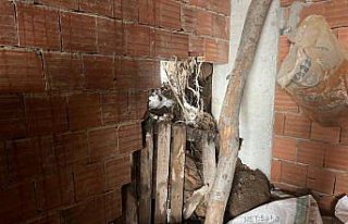 Çatalpınar'da ağılın çökmesi sonucu 4...