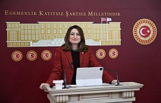 CHP'li Bankoğlu, esnaf borçlarının faizsiz...