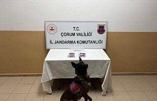 Çorum'da uyuşturucu operasyonunda 3 şüpheli yakalandı