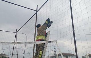 Düzce'de basket sahasında fileye dolanan kargayı...