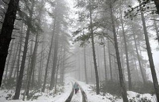 Düzce'nin yüksek kesimlerinde kar etkili oldu