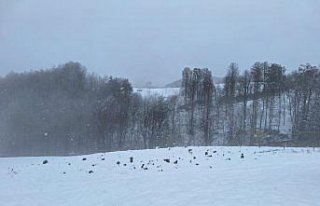 Düzce'nin yüksek kesimlerine kar yağdı