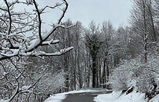 Gölyaka'nın yüksek kesimleri beyaz örtüyle...