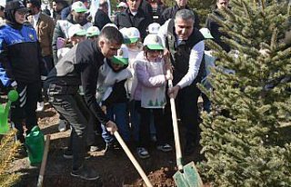 Gümüşhane'de Orman Haftası'nda fidanlar...