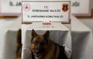 Gümüşhane'deki uyuşturucu operasyonunda 2...