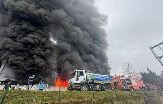 Trabzon'da fındık fabrikasının deposunda...