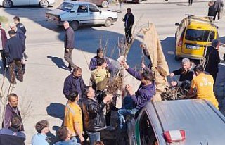 Hanönü'de vatandaşlara 2 bin fidan dağıtıldı