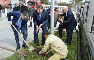 Havza'da fidan dikim etkinliği düzenlendi