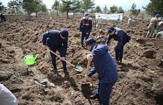 Kastamonu'da “Türkiye'nin gücü orman“...