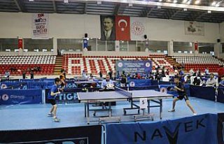 Küçükler Ferdi ve Takım Masa Tenisi Türkiye Şampiyonası,...