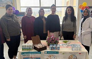 Merzifon'da gebelik ve doğum bilgilendirme standı...