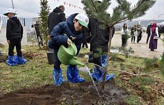 Ordu'da Orman Haftası'nda 1500 fidan dikildi
