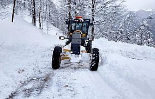 Orta ve Doğu Karadeniz'de kar etkili oldu