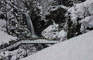 Rize, Artvin, Ordu ve Bayburt'ta soğuk hava...