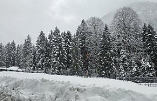 Rize ve Ordu'da kar etkili oldu