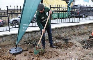 Rize'de Yeşilay Haftası kapsamında fidan dikim...