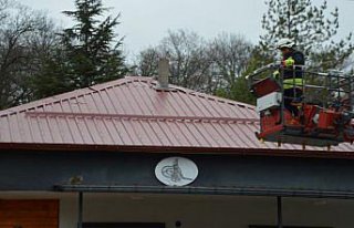 Samsun'da çatıda mahsur kalan kedinin imdadına...