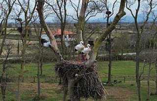 Samsun'da Kızılırmak Deltası'na baharın...