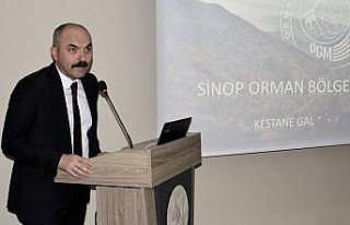 Sinop'ta kestane ağaçlarını korumak için 10 bin...