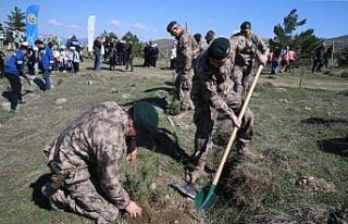 Tokat'ta Orman Haftası'nda fidanlar toprakla...