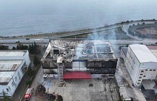 Trabzon'da fındık fabrikasının deposunda...