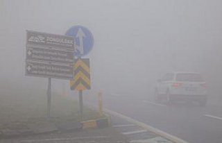Zonguldak'ta yoğun sis etkili oluyor