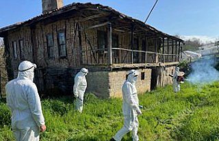 Bartın'da kahverengi kokarcayla mücadelede 16 bin...