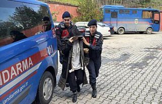 GÜNCELLEME - Karabük'te kocasını tüfekle öldüren...