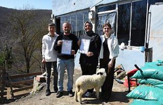 Samsun'da 46 yıllık arazi paylaşımı sorunu arabulucuyla...