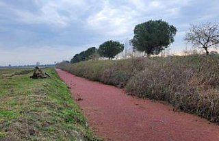 Samsun'da sulama kanalındaki su yüzeyi kırmızıya...