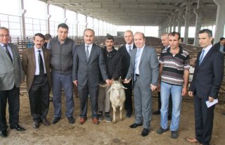 SEMAVER ÇAY MODA OLDU 