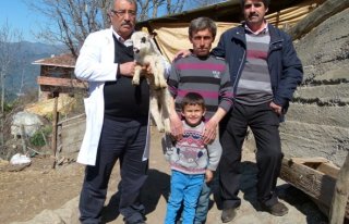 5 BACAKLI DOĞAN KUZU İLGİ ODAĞI OLDU 