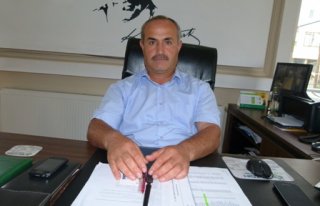 BAFRA OVASINDA ÇİFTÇİNİN YÜZÜ GÜLÜYOR