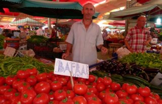 Domates Görünümlü İlgi Odağı Oldu