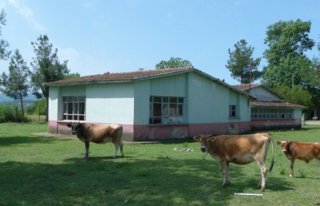 ESKİ OKUL BİNALARI ATIL DURUMDAN KURTARILSIN