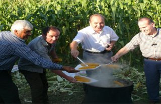 ÇETİNKAYA BELDESİNDE MISIR FESTİVALİ 