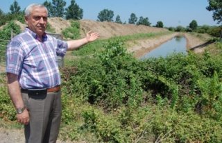 ÇARŞAMBA’DA 40 BİN DÖNÜM ARAZİ SULAMAYLA YOK...