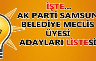 AK PARTİ SAMSUN BELEDİYE MECLİS ÜYESİ ADAYLARI...