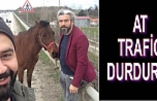 Ahırdan Kaçan At Trafiği Birbirine Kattı