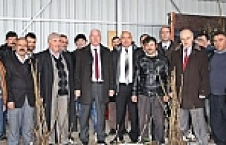 Alaçam da Çiftçilere Ücretsiz 1500 Ceviz Fidanı...