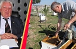 Arı Yetiştiricilerine İlkbahar Bakımı Uyarısı