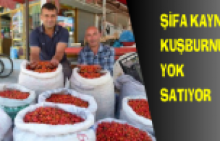 BAFRA PAZARINDA KUŞBURNU’YA YOĞUN İLGİ GÖSTERİLDİ