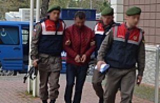 Bafra'da Hayvan Hırsızlığı