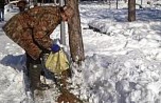 BAFRA’DA SOKAK HAYVANLARI YEMLENİYOR