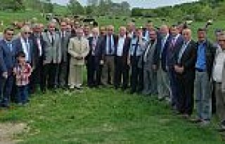 BAFRA'NIN YAKINTAŞ MAHALLESİNDE TESCİLLİ MERANIN...