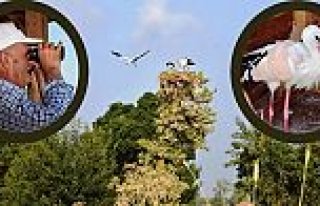 Büyükşehir Vahşi Doğaya Da Sahip Çıkıyor